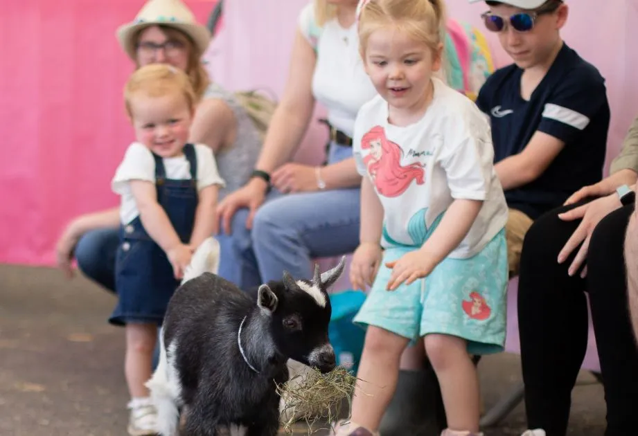 Animal Encounters