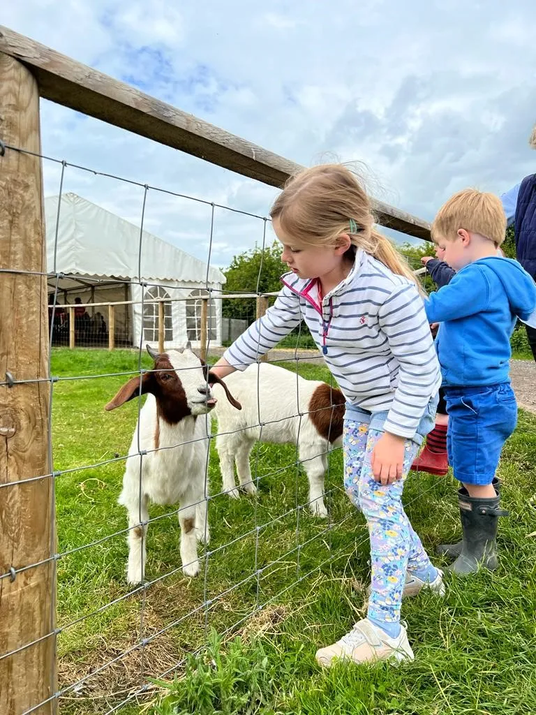 farm-animals