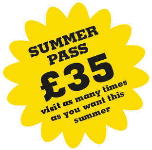 Summerpass